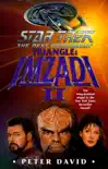 Star Trek: The Next Generation: Triangle: Imzadi II sinopsis y comentarios