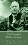 The Poetry Of Wallace Stevens synopsis, comments