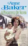 A Pocketful of Silver synopsis, comments