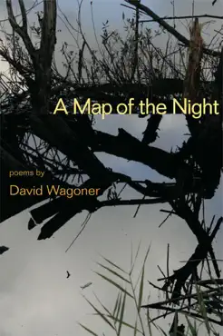 a map of the night imagen de la portada del libro