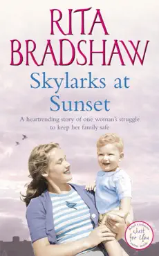 skylarks at sunset book cover image