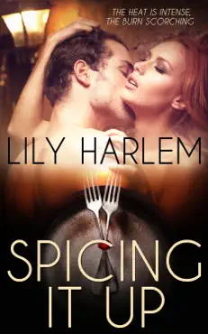 spicing it up book cover image