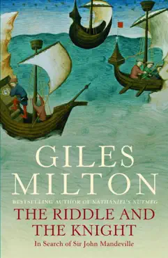 the riddle and the knight imagen de la portada del libro
