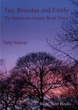 taz, brendan and emily book cover image