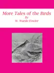 More Tales of the Birds synopsis, comments