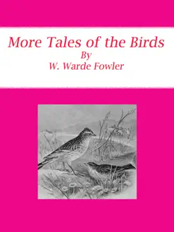 more tales of the birds book cover image