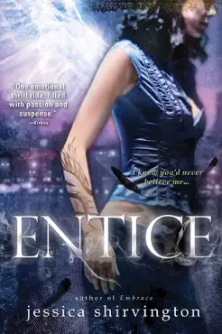 entice book cover image