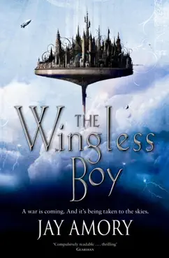 the wingless boy book cover image
