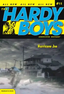 hurricane joe book cover image