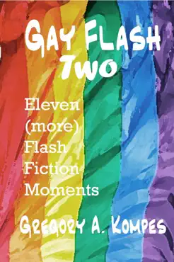 gay flash two book cover image