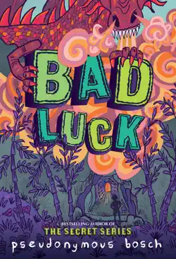 bad luck book cover image