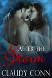 After The Storm synopsis, comments