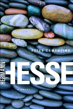 peter camenzind book cover image