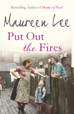put out the fires book cover image