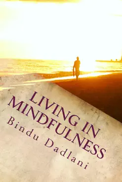 living in mindfulness imagen de la portada del libro