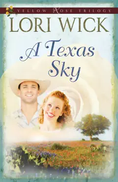 a texas sky book cover image