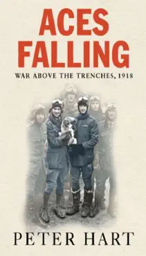 aces falling book cover image