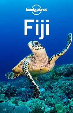 fiji travel guide book cover image