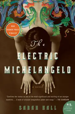 the electric michelangelo imagen de la portada del libro