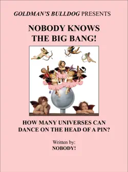 nobody knows the big bang!: how many universes can dance on the head of a pin? book cover image