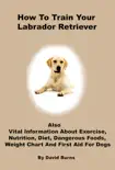 How To Train Your Labrador Retriever synopsis, comments