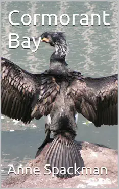 cormorant bay book cover image