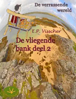 de vliegende bank book cover image
