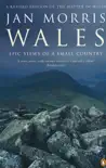 Wales sinopsis y comentarios