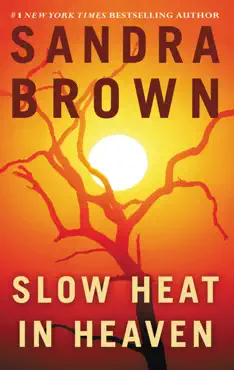 slow heat in heaven book cover image