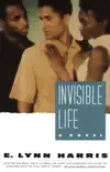 Invisible Life synopsis, comments