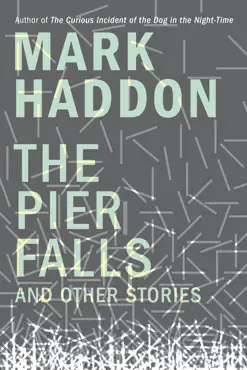 the pier falls book cover image