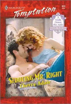 seducing mr. right book cover image