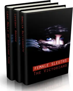 female sleuths multipack book cover image
