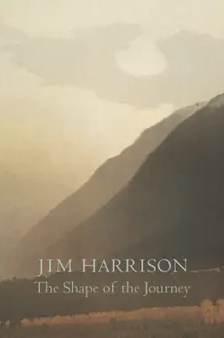 the shape of the journey book cover image