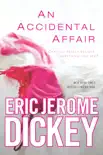 An Accidental Affair synopsis, comments