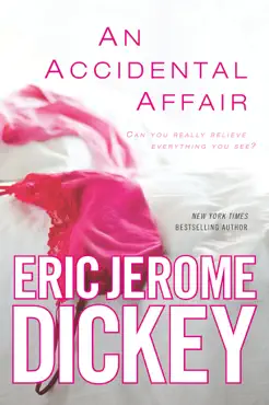 an accidental affair book cover image