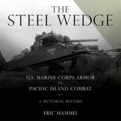the steel wedge book cover image