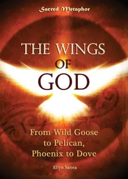 the wings of god book cover image