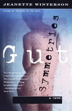 gut symmetries book cover image