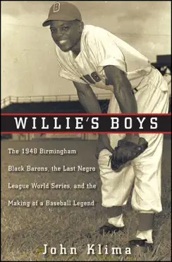 willie's boys book cover image