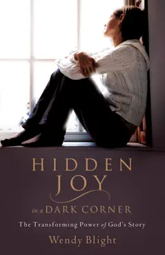 hidden joy in a dark corner book cover image