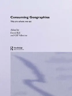 consuming geographies book cover image