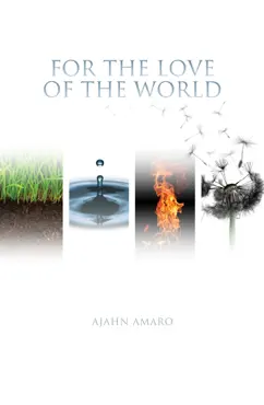 for the love of the world book cover image