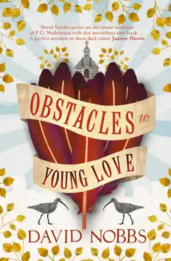 obstacles to young love book cover image