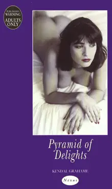 pyramid of delights imagen de la portada del libro