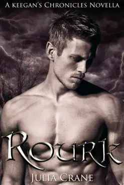rourk book cover image