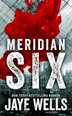 meridian six book cover image