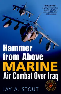 hammer from above book cover image