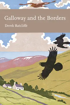 galloway and the borders imagen de la portada del libro
