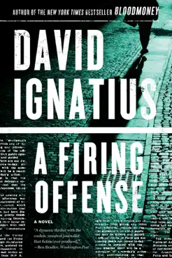 a firing offense: a novel book cover image